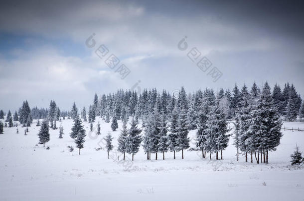 冬季雪景圣诞背景