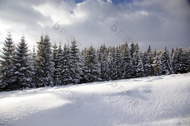 冬季雪景圣诞背景