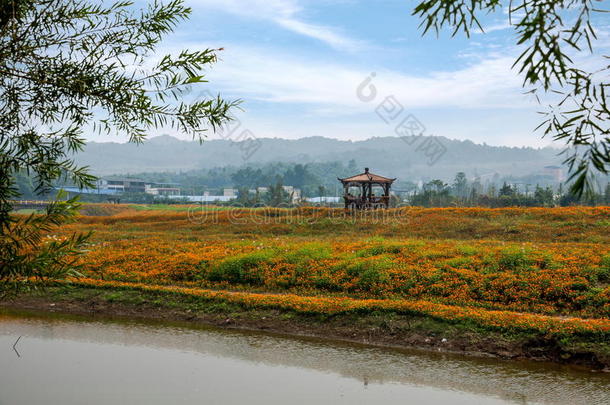 重庆巴南花卉世界花园湖畔百花盛开