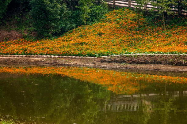 重庆巴南花卉世界花园湖畔<strong>百花盛开</strong>