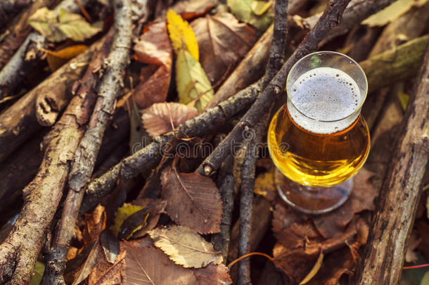 秋天森林里的啤酒