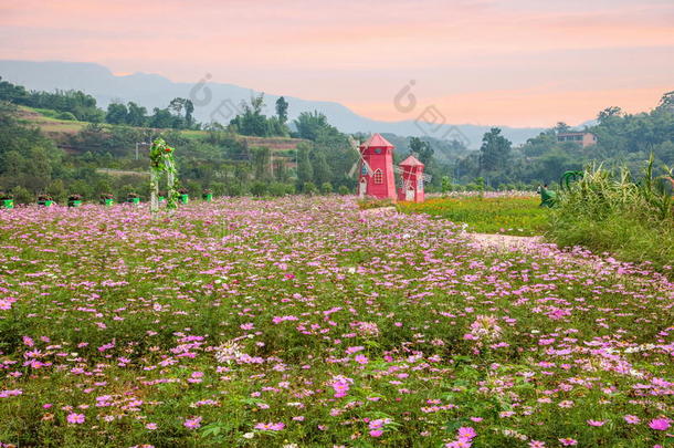 重庆巴南花木在世界花园里满是山，盛开着大风车中的花