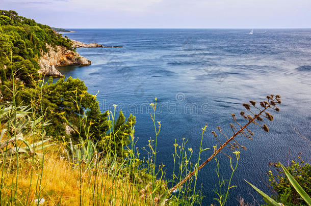 杜布罗夫尼克海景，克罗地亚，亚得里亚海海岸