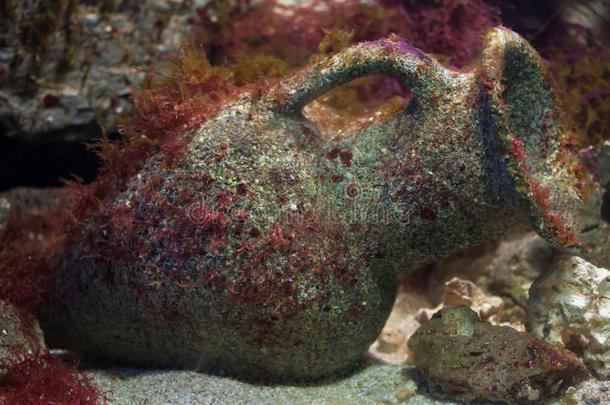 海底的古希腊陶瓷花瓶。