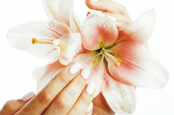 美丽精致的手与美甲握着百合花紧密隔离在白色，水疗沙龙的概念