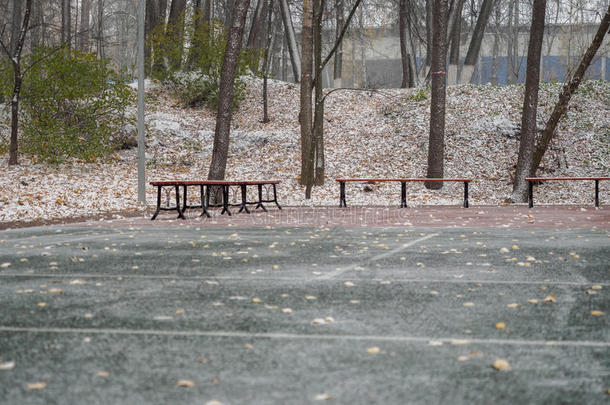 秋天多云的公园里，空荡荡的湿小路和<strong>铺满</strong>雪的长凳
