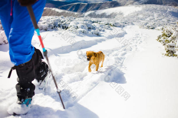 冬天山上带狗的女孩。