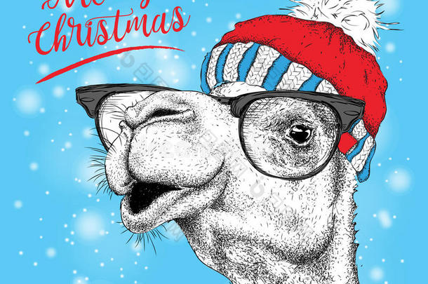 圣诞卡和骆驼在冬天的帽子。<strong>圣诞快乐字体</strong>设计。矢量图解