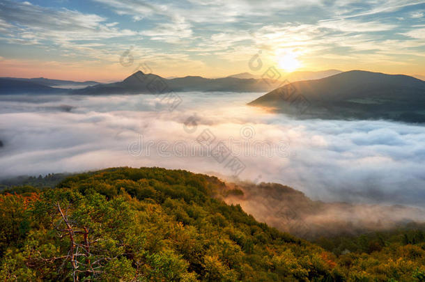 秋天的日出在薄雾和森林景观上，斯洛伐克，诺西