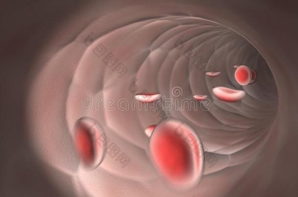 静脉中流动的红细胞