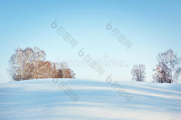 美丽的冬季景观在阳光明媚的日子，蓝天和树木在地平线上