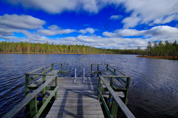 芬兰夏季景观结束。 松林海岸与湖泊和深蓝色的天空与白云。 美丽的风景来自