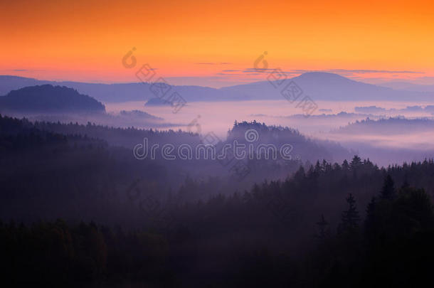 寒冷的<strong>雾</strong>蒙蒙的早晨，黄昏的日出在波西米亚瑞士公园的秋天<strong>山</strong>谷。 有<strong>雾</strong>的小<strong>山</strong>，捷克的风景