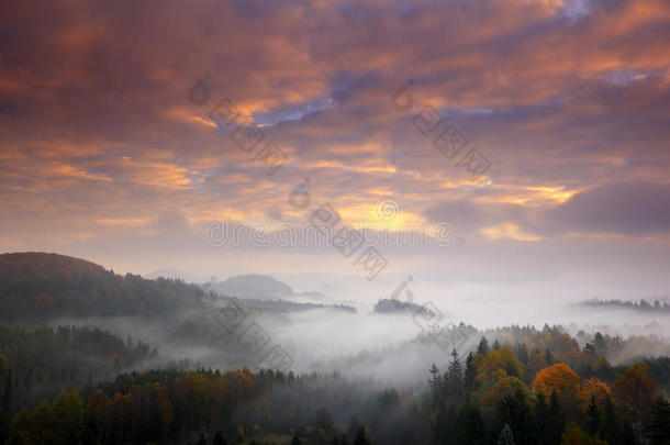 捷克典型的<strong>秋</strong>季景观。 山和森林有雾的<strong>早</strong>晨。 波西米亚瑞士公园的<strong>早秋</strong>山谷。 有小山