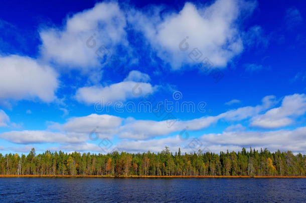 芬兰夏季景观结束。 松林海岸与湖泊和<strong>深蓝色</strong>的天空与白云。 美丽的<strong>风</strong>景来自