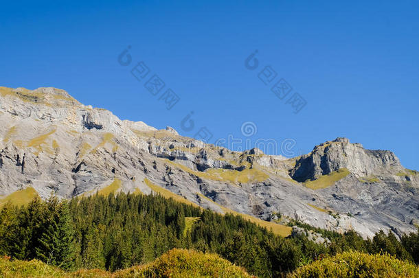 阿尔卑斯山欧洲绿色小山坎德斯特格