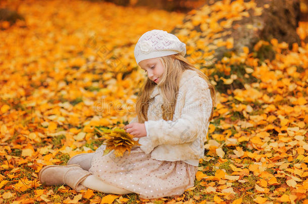 秋天公园里可爱的小女孩拿着一束枫叶