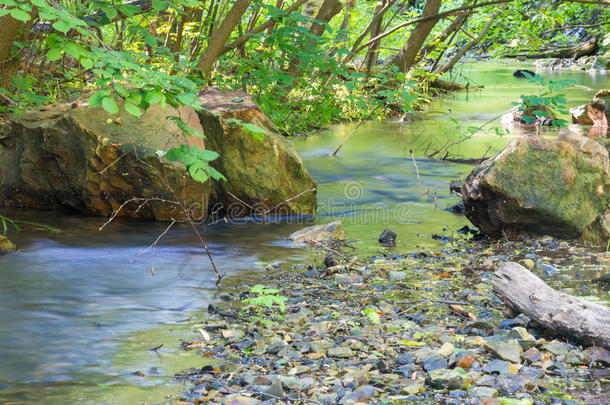 小溪流过绿色的树林，用长时间的曝光拍摄