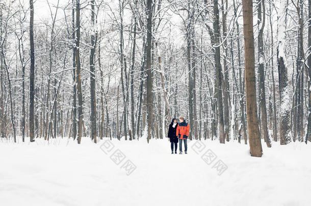 一对相爱的夫妇在冬天的公园散步。 下雪，冬天。