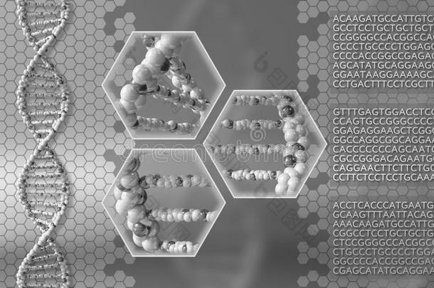 DNA<strong>分</strong>子灰色背景。 <strong>基因</strong>研究，现代医学或扫描概念。 三维渲染