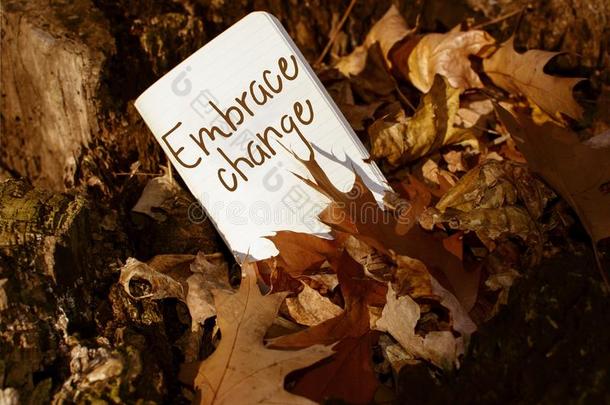 拥抱卡片上写在秋天树叶上的变化词