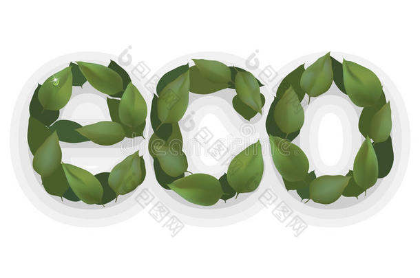 生态拉格尔绿叶，生态设计标志。 自然有机标签植物贴纸