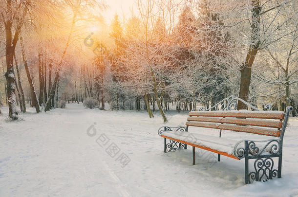 长凳暴风雪分支灌木平静的