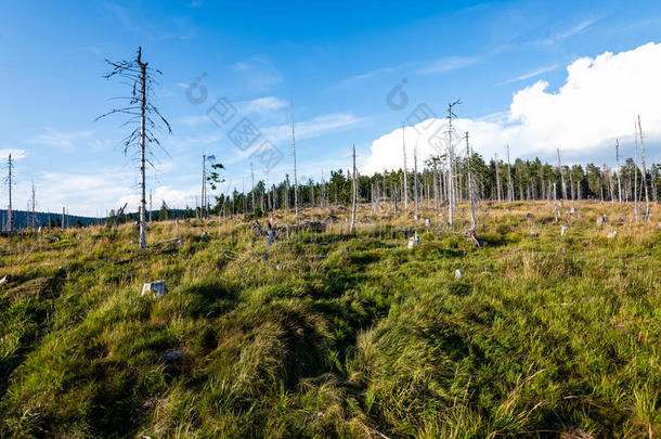 喀尔巴阡山脉五颜六色的乡村景色