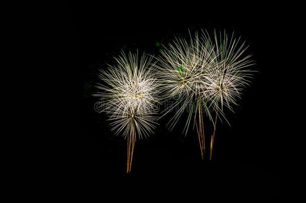 烟花在夜晚。新年庆祝烟花，五颜六色的烟花在黑暗的天空，显示在一个庆祝活动