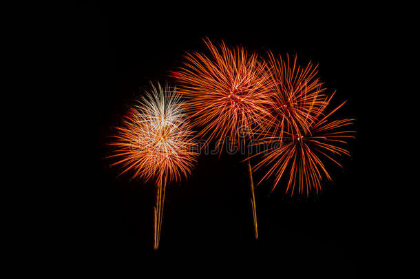 烟花在夜晚。新年庆祝烟花，五颜六色的烟花在黑暗的天空，显示在一个庆祝活动