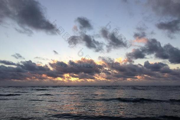 在上面海滩云海岸椰子