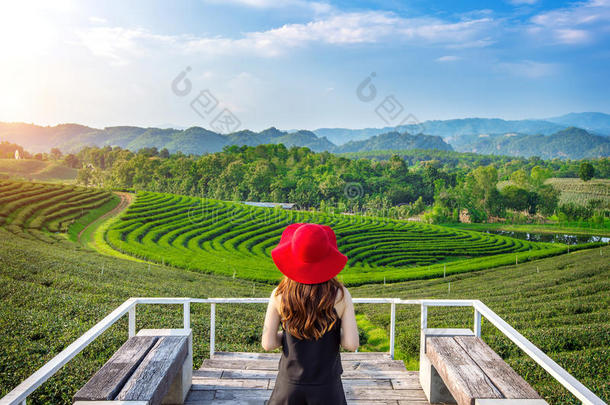 绿茶山上戴着红帽子的漂亮女孩