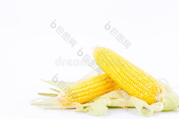 在白底<strong>玉米</strong>蔬菜上分离出甜<strong>玉米</strong>穗在Cobs籽粒或成熟<strong>玉米</strong>籽粒上