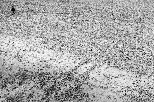 <strong>黑白</strong>照片从顶部的视野，在秋天的海滩上，海牙与步行的人