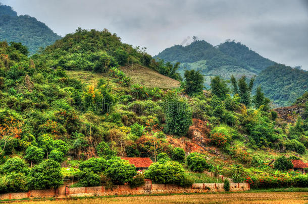 越南北部美丽的风景