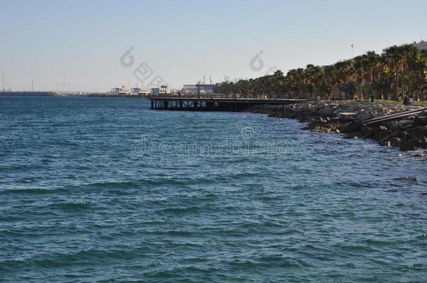 海滩海滨河狸蓝色中心