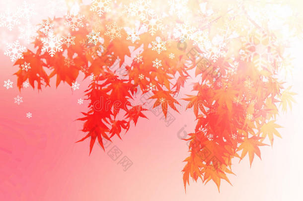 抽象的秋叶冬季场景，红色枫树的剪影与红色背景上的雪花。