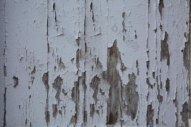 油漆板上的裂缝。 墙上有裂纹的油漆。