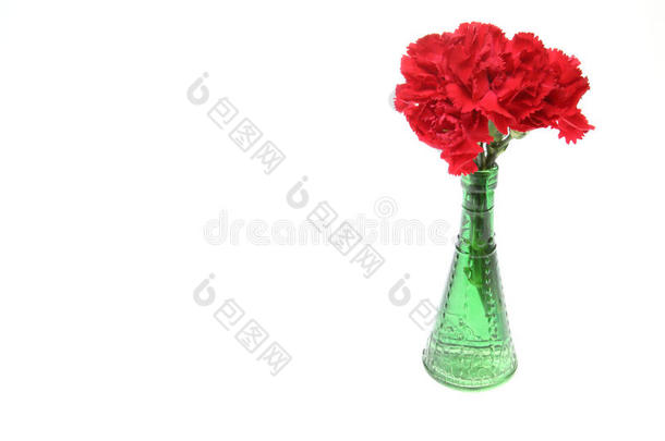 玻璃花瓶里的康乃馨花束