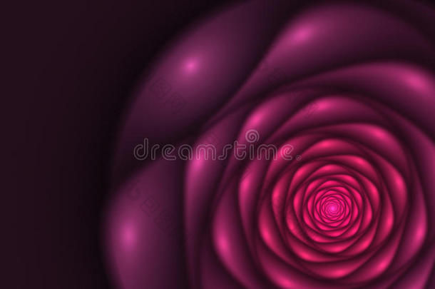 黑色背景，粉红色和桃红色玫瑰。 花卉纹理，分形图案。 马萨拉条纹数码花在紫色的背面