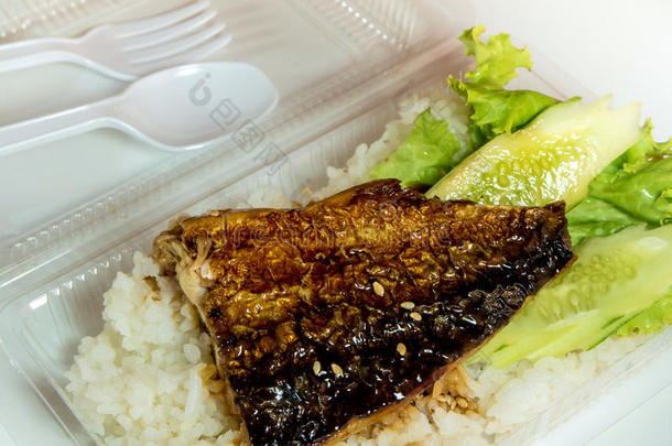 在塑料盒子里烤米饭上的鱼，<strong>带回</strong>家的食物