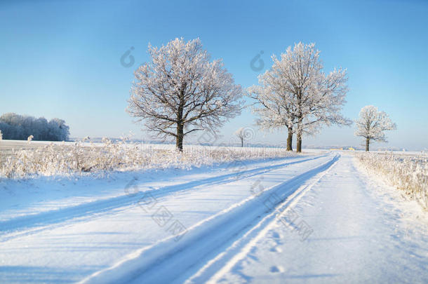 乡间道路在冬天的霜冻中