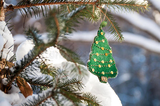 圣诞树树枝在森林里用绿色手工装饰。 阳光明媚的冬日
