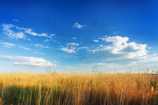 美丽的天空下的阿斯特拉罕草原。 盐湖巴斯克附近的自然全景