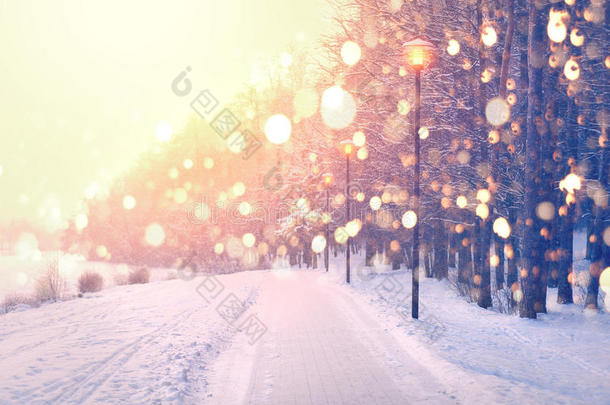 冬天公园背景上的彩色雪花。 公园里的降雪。
