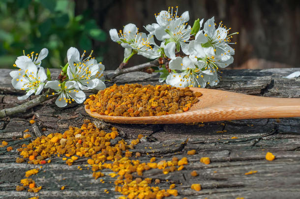 蜜蜂花粉在木勺里，春天的树花