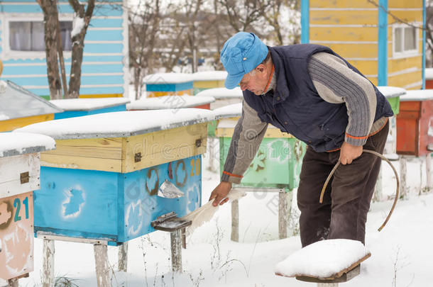 养蜂人冬季监测蜜蜂在蜂巢中的状况