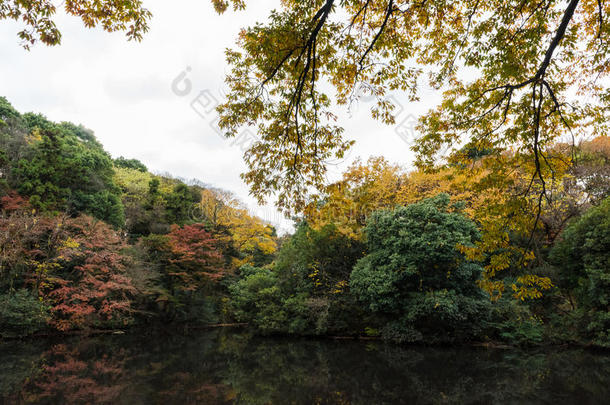 古代的建筑学亚洲亚洲的背景