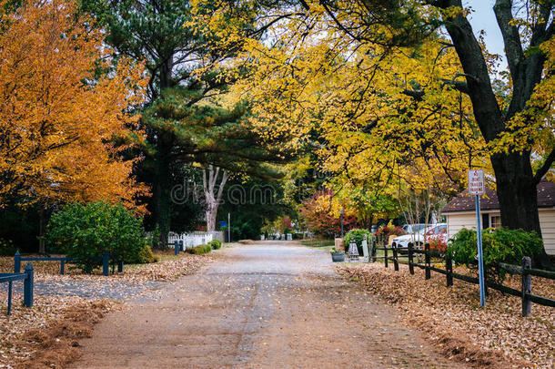 马里兰州圣米歇尔一条街上的秋色。