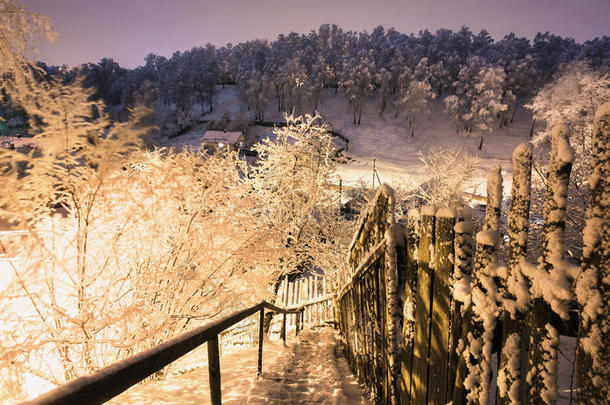 美丽的夜晚冬季森林在雪中。 冬天的时候。 大雪